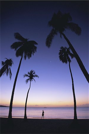 simsearch:841-02714006,k - Grand Anse beach at sunset, Grenada, Windward Islands, West Indies, Caribbean, Central America Foto de stock - Con derechos protegidos, Código: 841-02705466