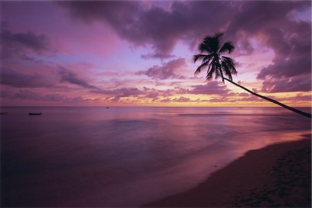 Gibbes Bay at sunset, Barbados, West Indies, Caribbean, Central America Stock Photo - Rights-Managed, Code: 841-02705467