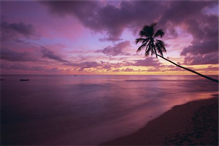 simsearch:841-02716228,k - Gibbes Bay at sunset, Barbados, West Indies, Caribbean, Central America Foto de stock - Con derechos protegidos, Código: 841-02705467