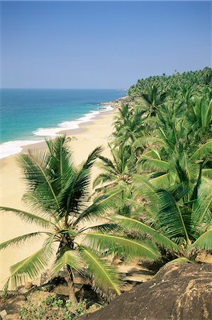 Coconut palms and beach, Kovalam, Kerala state, India, Asia Stock Photo - Rights-Managed, Code: 841-02705802
