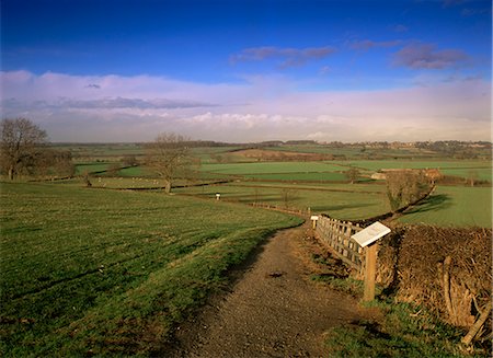 Bosworth Battlefield Country Park, site de la bataille de Bosworth, en 1485, Leicestershire, Angleterre, Royaume-Uni, Europe Photographie de stock - Rights-Managed, Code: 841-02706611