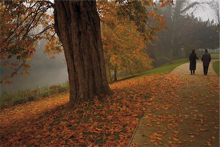 simsearch:841-03868179,k - Couple se promenant dans les jardins de Jephson en automne, Leamington Spa, Warwickshire, Midlands, Angleterre, Royaume-Uni, Europe Photographie de stock - Rights-Managed, Code: 841-02706714