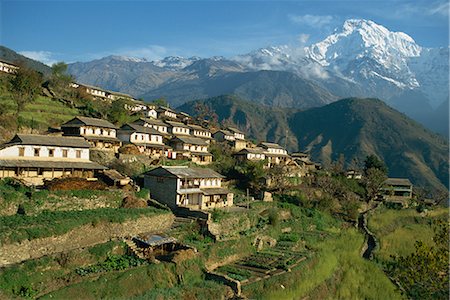 simsearch:841-02920375,k - Maisons et des champs en terrasses au village Gurung, Ghandrung, avec Annapurna Sud en tâche de fond dans l'Himalaya, Népal, Asie Photographie de stock - Rights-Managed, Code: 841-02706782