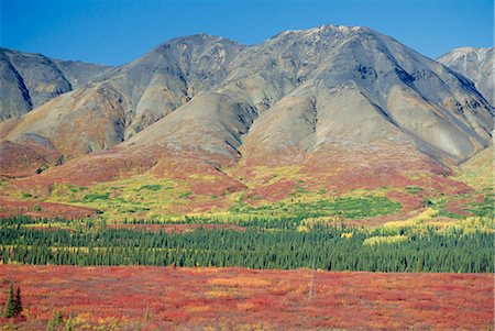 simsearch:841-02719895,k - Automne toundra paysage, large col, Parc National de Denali, Alaska, États-Unis d'Amérique Photographie de stock - Rights-Managed, Code: 841-02706804