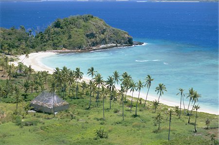 Coconut plantation and old farmhouse beside coral sand bay, Mana Island, Mamanuca group, west of Viti Levu, Fiji, South Pacific islands, Pacific Stock Photo - Rights-Managed, Code: 841-02706840