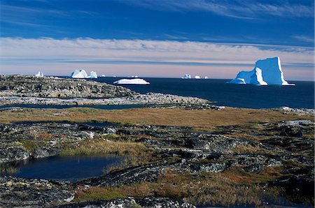 disko island - Shore platform with autumn tundra, Qeqertarsuaq (Godhavn), Disko Bay, Island, west coast, Greenland, Polar Regions Stock Photo - Rights-Managed, Code: 841-02706862