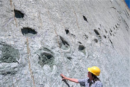 fósil - The world's longest dinosaur tracks, Cretaceous Titanosaurus, near Sucre, Bolivia, South America Foto de stock - Con derechos protegidos, Código: 841-02706947