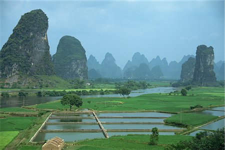 Landscape of rice paddies, fish farms and limestone pinnacles in the Fenglin Karst south of Guilin, Yangshuo, Guangxi, China, Asia Stock Photo - Rights-Managed, Code: 841-02707018