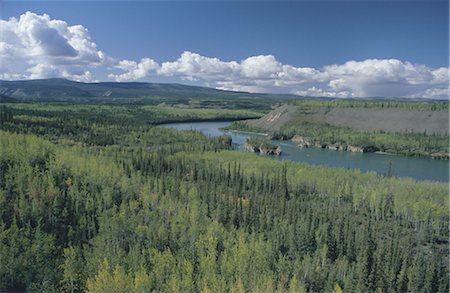 simsearch:841-02706874,k - Five Fingers Rapids on the Yukon River, a navigation hazard on goldrush route between Dawson and Whitehorse, Yukon, Canada, North America Fotografie stock - Rights-Managed, Codice: 841-02707011