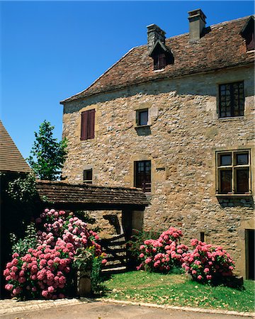 Hortensien und Fuscia vor einem der Häuser im mittelalterlichen Dorf Loubressac, in Lot, Midi-Pyrenees, Frankreich, Europa Stockbilder - Lizenzpflichtiges, Bildnummer: 841-02707096