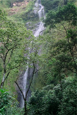 Cascade de San Ramon, Ometepe island, au Nicaragua, l'Amérique centrale Photographie de stock - Rights-Managed, Code: 841-02707231