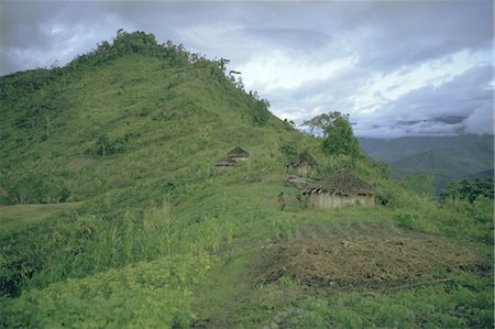 Yali village, Irian Jaya (West Irian) (Irian Barat), New Guinea, Indonesia, Asia Stock Photo - Rights-Managed, Code: 841-02707393