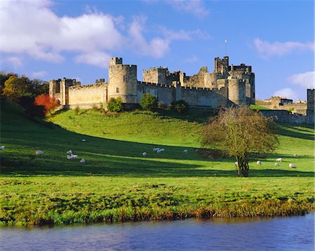 Alnwick Castle, Alnwick, Northumberland, England Stock Photo - Rights-Managed, Code: 841-02707477