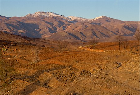 simsearch:841-02824612,k - Ploughed fields and the Siroua Massif, Anti Altas Range, Morocco, North Africa, Africa Stock Photo - Rights-Managed, Code: 841-02707812