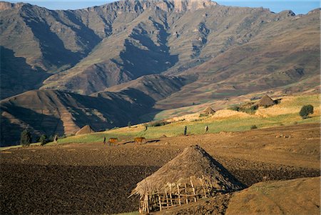 simsearch:841-02918765,k - Debirichwa village in early morning, Simien Mountains National Park, UNESCO World Heritage Site, Ethiopia, Africa Foto de stock - Con derechos protegidos, Código: 841-02707885
