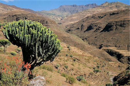 simsearch:841-02707296,k - Mersheha River valley, Simien Mountains National Park, Ethiopia, Africa Foto de stock - Con derechos protegidos, Código: 841-02707886