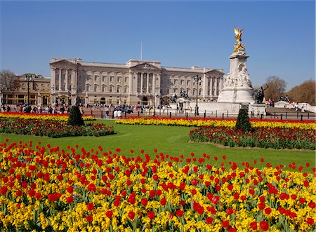 simsearch:841-03028713,k - Buckingham Palace, Londres, Angleterre, Royaume-Uni Photographie de stock - Rights-Managed, Code: 841-02708058