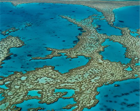 reef aerial - The Great Barrier Reef, Queensland, Australia Stock Photo - Rights-Managed, Code: 841-02708425