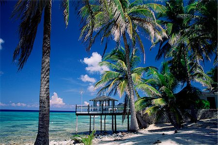 Waterside restaurant beneath palms, Old Man Bay, Grand Cayman, Cayman Islands, West Indies, Caribbean, Central America Stock Photo - Rights-Managed, Code: 841-02708736