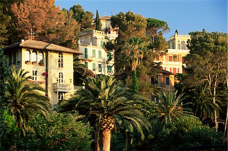 portofino - Hillside mansions amongst palms, Santa Margherita Ligure, Portofino peninsula, Liguria, Italy, Europe Stock Photo - Rights-Managed, Code: 841-02708733