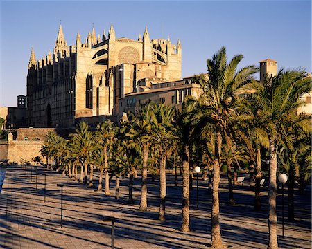 simsearch:841-02705433,k - The Christian cathedral, with palm trees in the foreground, Palma, Mallorca (Majorca), Balearic Islands, Spain, Mediterranean, Europe Foto de stock - Con derechos protegidos, Código: 841-02708758