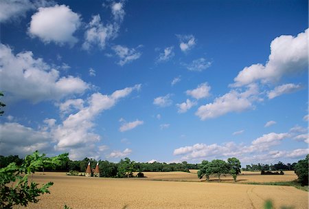 simsearch:841-02708296,k - Rural landscape with oasthouses, Ightham near Sevenoaks, Kent, England, UK Foto de stock - Con derechos protegidos, Código: 841-02708773