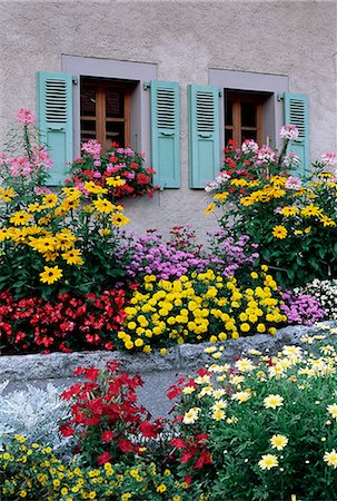 simsearch:841-03030408,k - Colourful garden flowers and green shutters, Servoz, near Chamonix, Haute-Savoie, Rhone-Alpes, France, Europe Foto de stock - Con derechos protegidos, Código: 841-02708801
