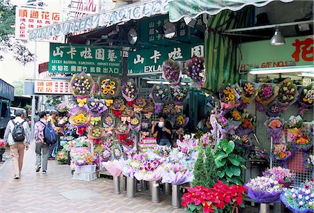 flower market in hong kong - Flower market, Mong Kok, Kowloon, Hong Kong, China, Asia Stock Photo - Rights-Managed, Code: 841-02709631