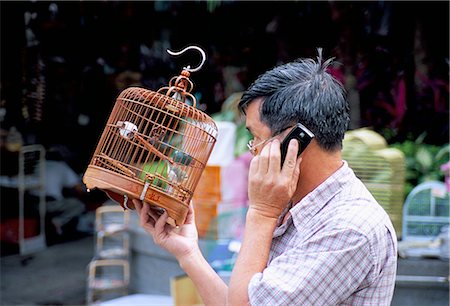 Yuen Po Street, Bird Garden, Mong Kok, Kowloon, Hong Kong, China, Asia Stock Photo - Rights-Managed, Code: 841-02709632