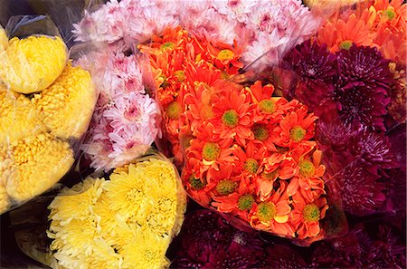 Bunches of chrysanthemums, flower market, Mong Kok, Kowloon, Hong Kong, China, Asia Stock Photo - Rights-Managed, Code: 841-02709893