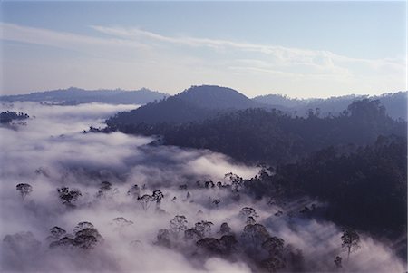 Brumes d'aube de compensation sur la forêt tropicale vierge diptérocarpacées, plus haut dans le monde, la vallée de Danum, Sabah, l'île de Bornéo, en Malaisie, Asie du sud-est, Asie Photographie de stock - Rights-Managed, Code: 841-02709943