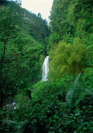 simsearch:841-02825933,k - Trafalgar Falls, Dominica, Windward Islands, West Indies, Caribbean, Central America Stock Photo - Rights-Managed, Code: 841-02709976