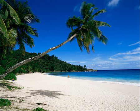 Anse Interdance, Mahe island, Seychelles, Indian Ocean, Africa Stock Photo - Rights-Managed, Code: 841-02703147