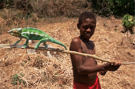 reptiles madagascar - Boy with chameleon, Nosy Be, Madagascar, Africa Stock Photo - Rights-Managed, Code: 841-02703359