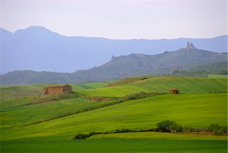 simsearch:841-02919676,k - Landscape near Los Arcos, Navarre, Spain, Europe Stock Photo - Rights-Managed, Code: 841-02703412