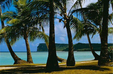 simsearch:841-02713910,k - Beach view, Guam, Pacific Foto de stock - Con derechos protegidos, Código: 841-02703522