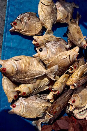 south america fish - Dried piranha fish for sale in Santarem in Brazil, South America Stock Photo - Rights-Managed, Code: 841-02703598