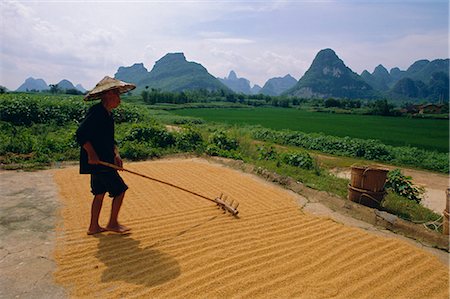 simsearch:841-02916482,k - Farmer turning grain, near Yangshuo, Guangxi Province, China Foto de stock - Direito Controlado, Número: 841-02703590
