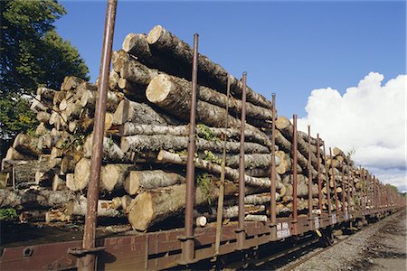 simsearch:841-02706874,k - Timber logs at rail siding, Finland, Scandinavia, Europe Fotografie stock - Rights-Managed, Codice: 841-02703653