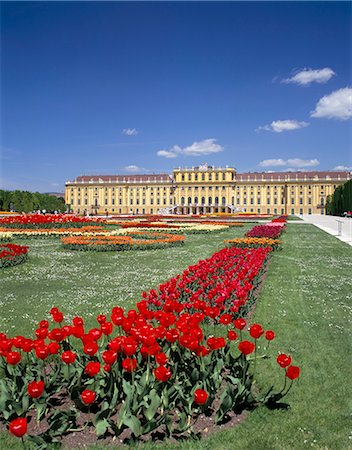 Palace and gardens, Schonbrunn, UNESCO World Heritage Site, Vienna, Austria, Europe Stock Photo - Rights-Managed, Code: 841-02703738