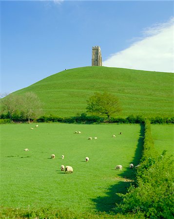 Glastonbury Tor, Glastonbury, Somerset, England, UK Foto de stock - Con derechos protegidos, Código: 841-02703757