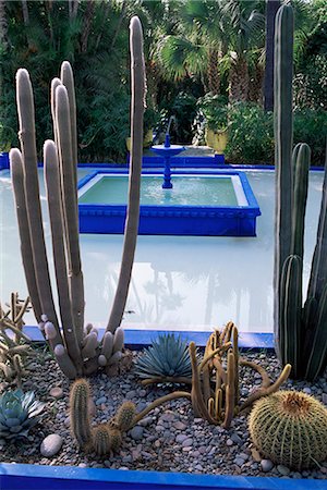 Jardin Majorelle, Marrakesh (Marrakech), Morocco, North Africa, Africa Stock Photo - Rights-Managed, Code: 841-02714188
