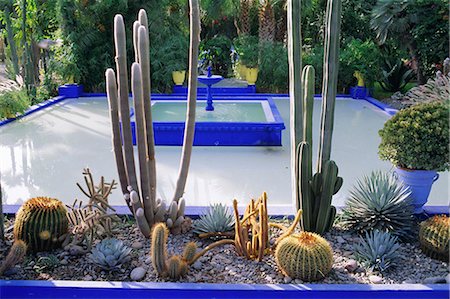 simsearch:841-02713689,k - Majorelle Gardens, Marrakesh, Morocco, North Africa Stock Photo - Rights-Managed, Code: 841-02714316