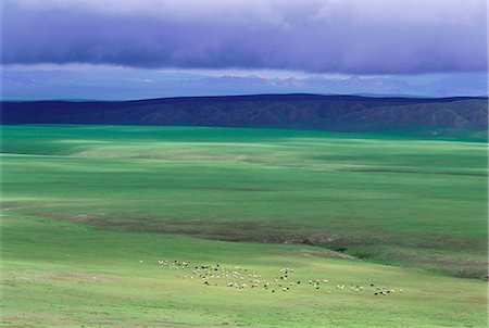 simsearch:841-02714359,k - Ovorkhangai Province, Mongolia, Asia Foto de stock - Direito Controlado, Número: 841-02714370