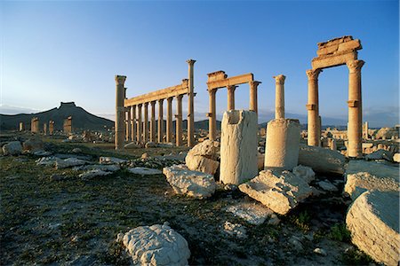 simsearch:841-02713799,k - The archaeological site, Palmyra, UNESCO World Heritage Site, Syria, Middle East Fotografie stock - Rights-Managed, Codice: 841-02714592