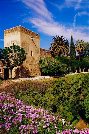 Torre de la Sultana surrounded by spring flowers, Alcazaba, Alhambra, Granada, Andalusia, Spain Foto de stock - Direito Controlado, Número: 841-02714879