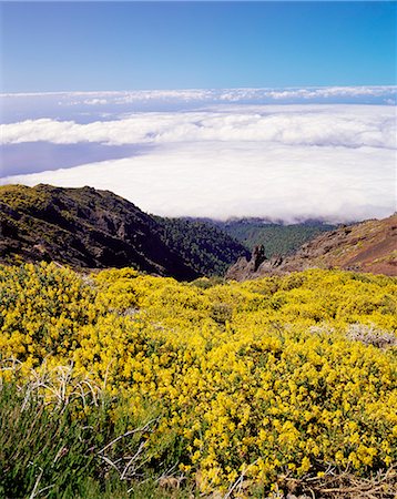 Landscape near Roque de los Muchachos, Parque Nacional de la Caldera de Taburiente, La Palma, Canary Islands, Spain, Europe Stock Photo - Rights-Managed, Code: 841-02715005