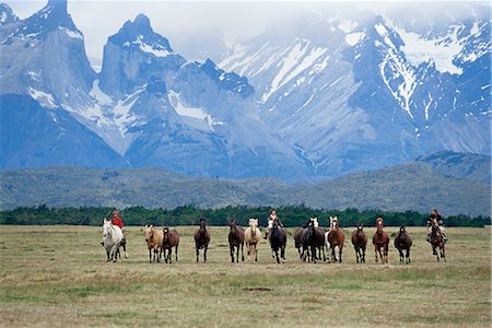 simsearch:862-03352054,k - A group of gauchos riding horses, with the Cuernos del Paine (Horns of Paine) mountains behind, Torres del Paine National Park, Patagonia, Chile, South America Fotografie stock - Rights-Managed, Codice: 841-02715114