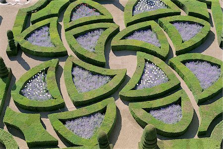 formal garden maze - Formal gardens, Chateau of Villandry, Indre et Loire, Loire Valley, France, Europe Stock Photo - Rights-Managed, Code: 841-02715217