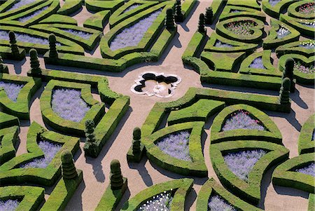 formal garden maze - Formal gardens, Chateau of Villandry, Indre et Loire, Loire Valley, France, Europe Stock Photo - Rights-Managed, Code: 841-02715218